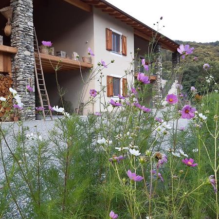Апартаменти Semi Al Vento: La Bio-Casa Nel Giardino Incantato! Paesana Екстер'єр фото