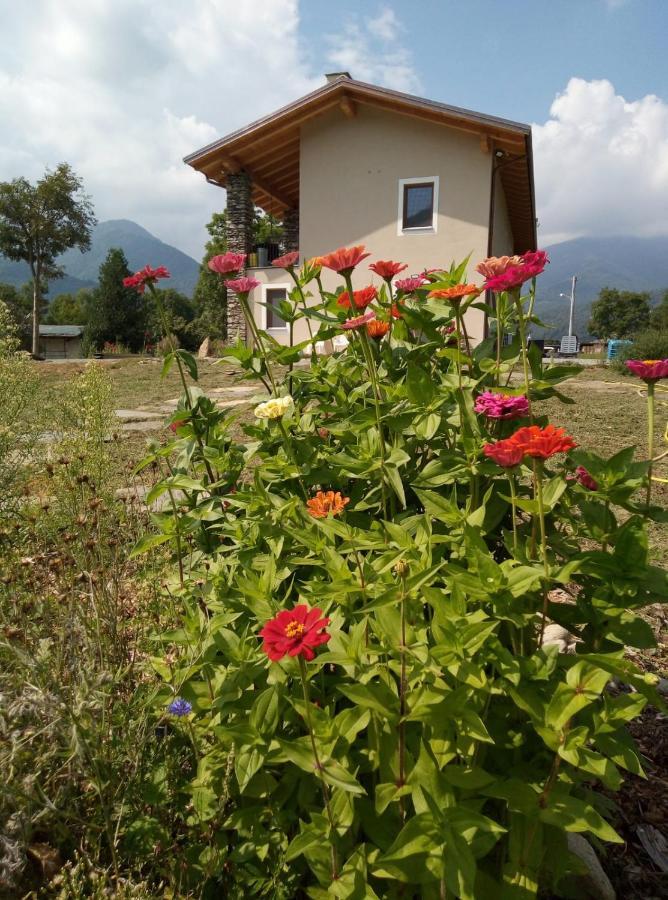 Апартаменти Semi Al Vento: La Bio-Casa Nel Giardino Incantato! Paesana Екстер'єр фото