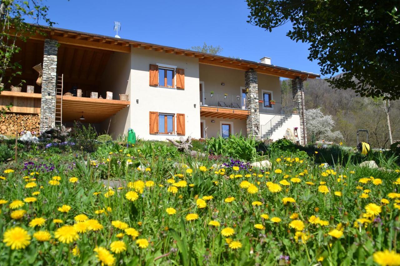 Апартаменти Semi Al Vento: La Bio-Casa Nel Giardino Incantato! Paesana Екстер'єр фото