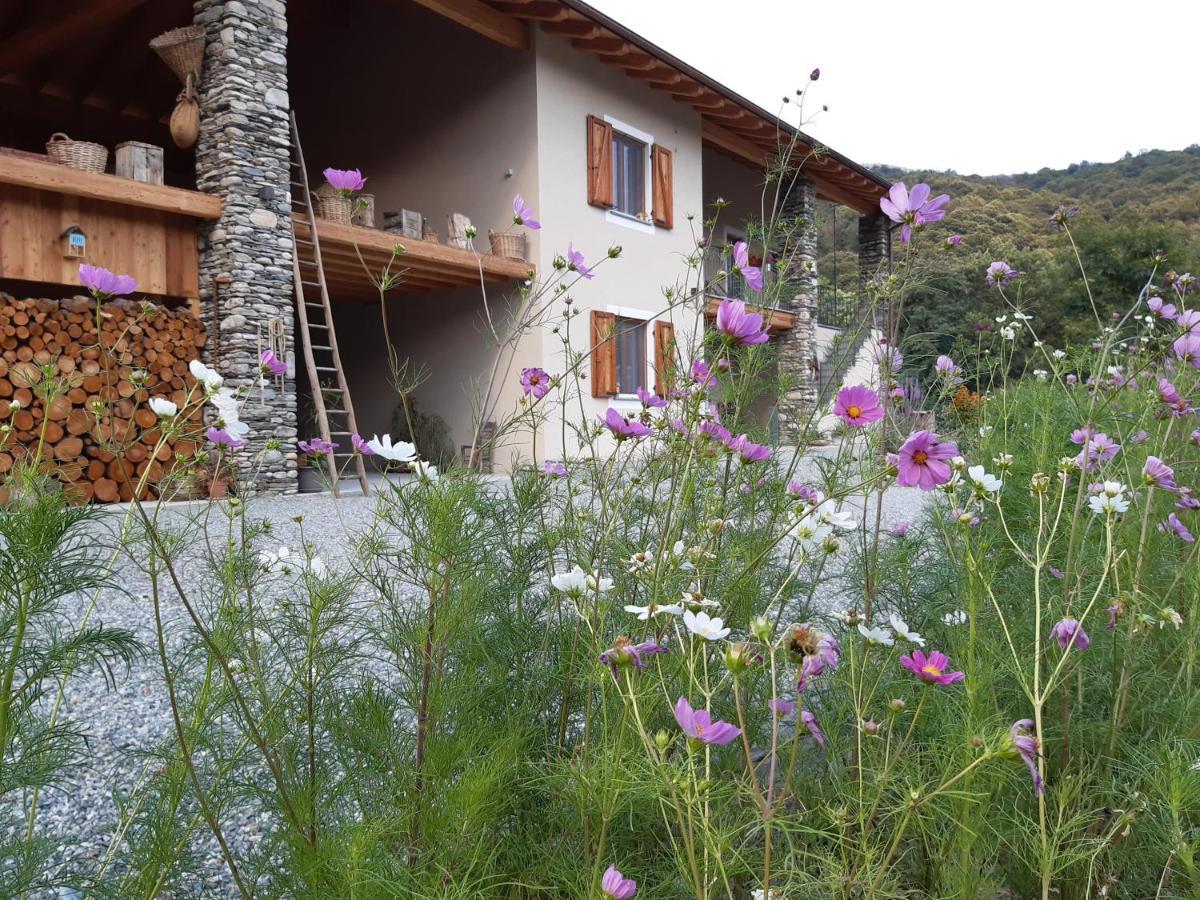 Апартаменти Semi Al Vento: La Bio-Casa Nel Giardino Incantato! Paesana Екстер'єр фото