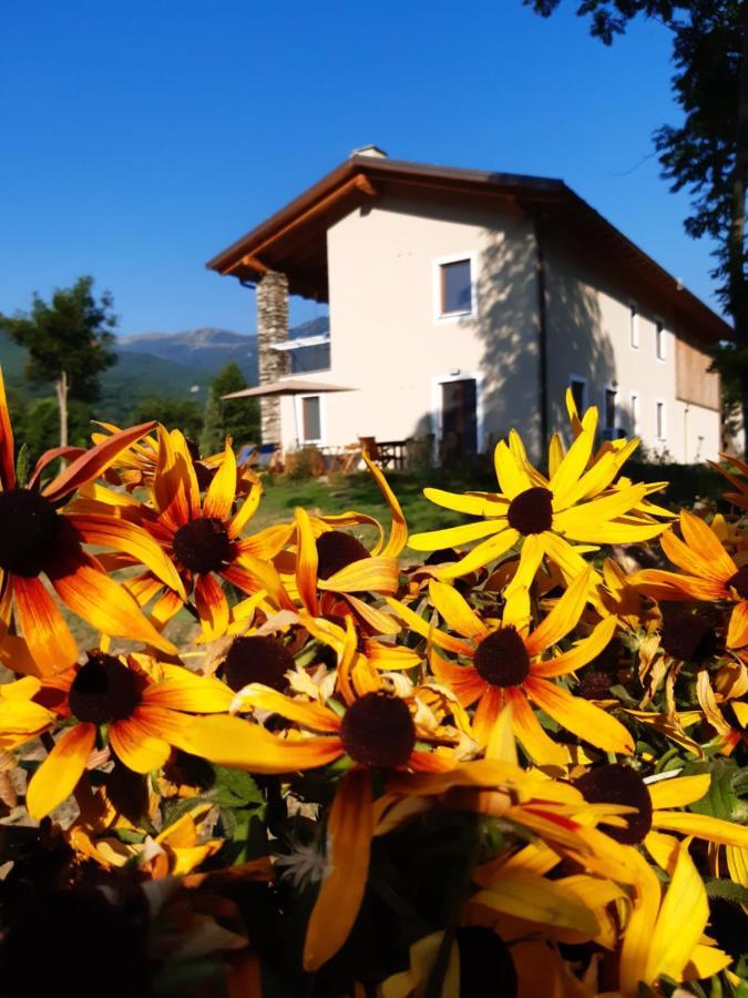 Апартаменти Semi Al Vento: La Bio-Casa Nel Giardino Incantato! Paesana Екстер'єр фото